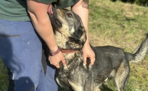 Matteo wartet auf seine Familie