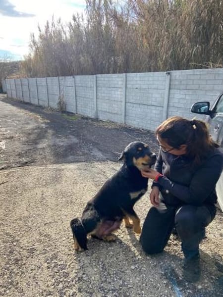 NARNI  intelligent, kontaktfreudig