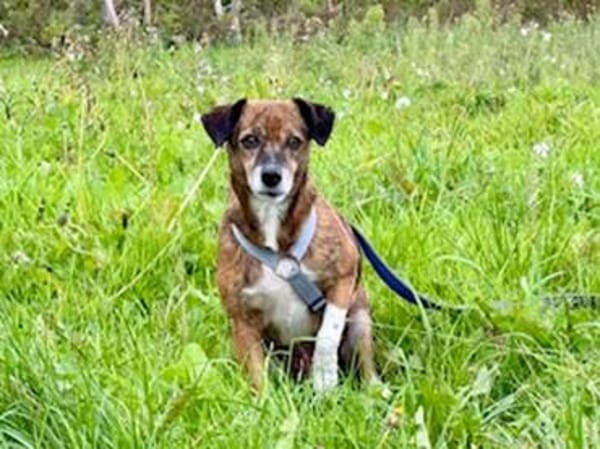 Carla hofft auf ihre Chance