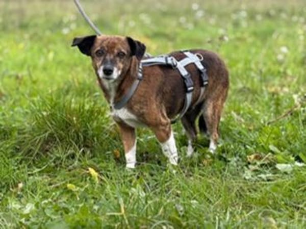 Carla hofft auf ihre Chance