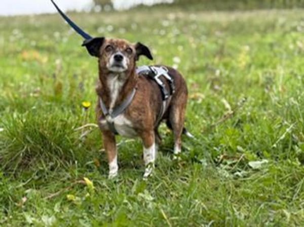 Carla hofft auf ihre Chance