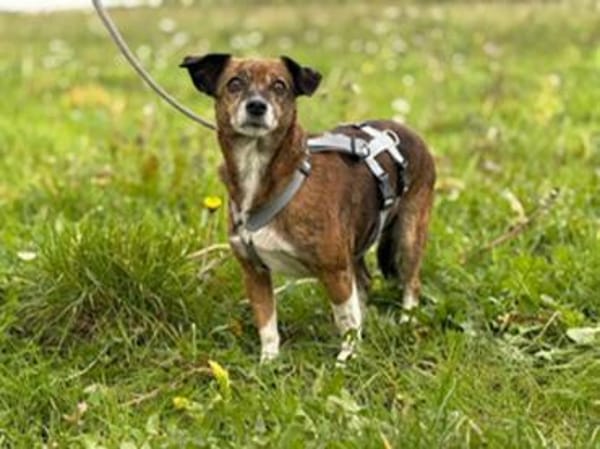 Carla hofft auf ihre Chance