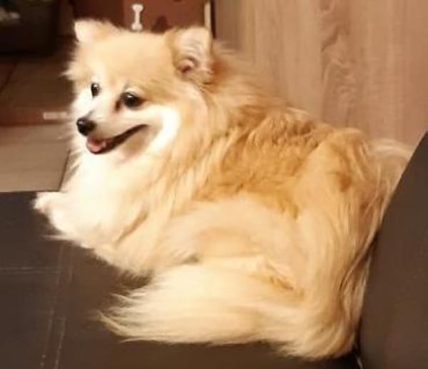 Conny in 27478 Cuxhaven #