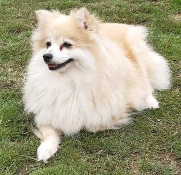 Conny in 27478 Cuxhaven #