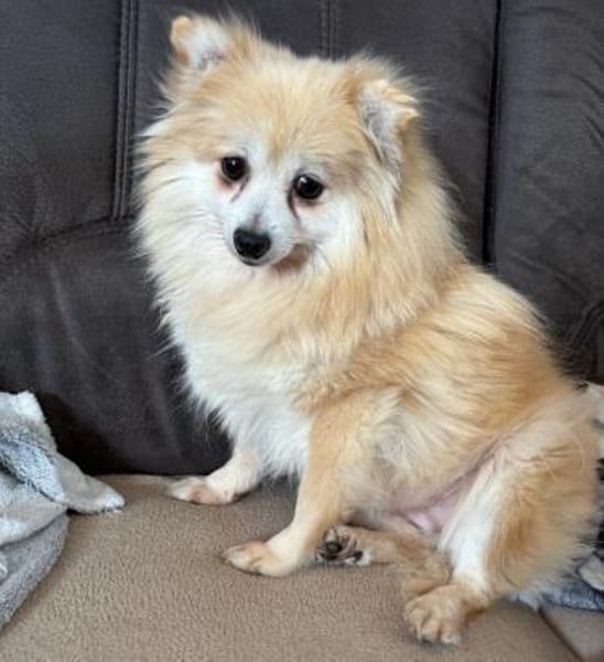 Conny in 27478 Cuxhaven #