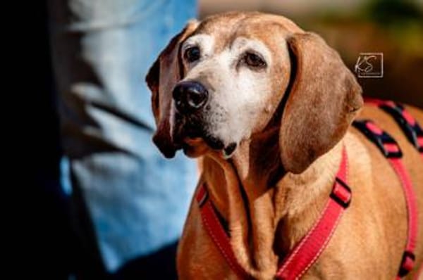 Rei möchte sein Leben genießen