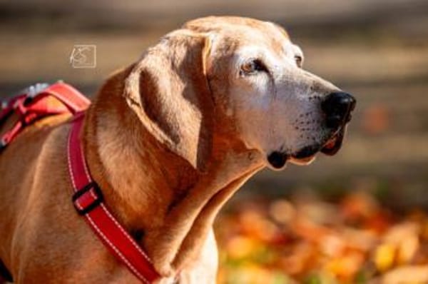 Rei möchte sein Leben genießen