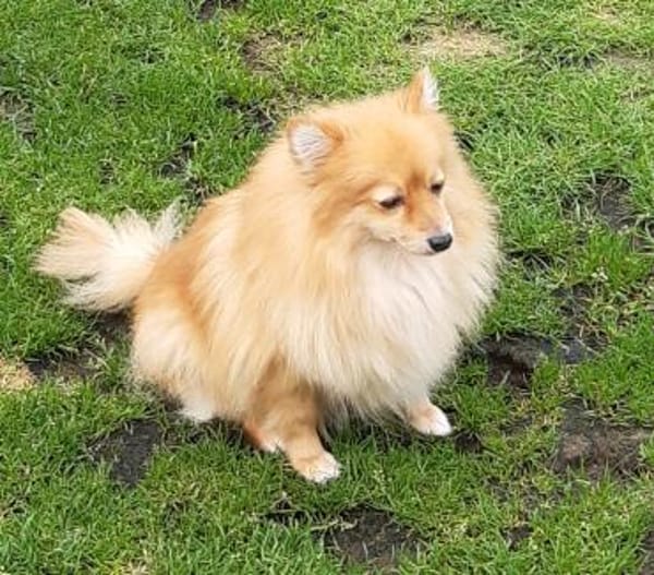 Kessy in 27478 Cuxhaven #