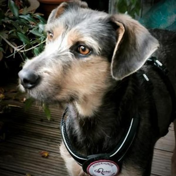 Ludwigsucht eine liebe Familie❤