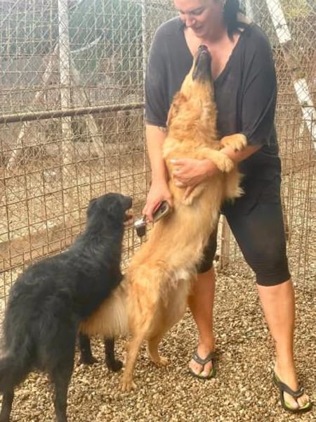 BIONDO 💙💙💙 wünscht sich ein Zuhause