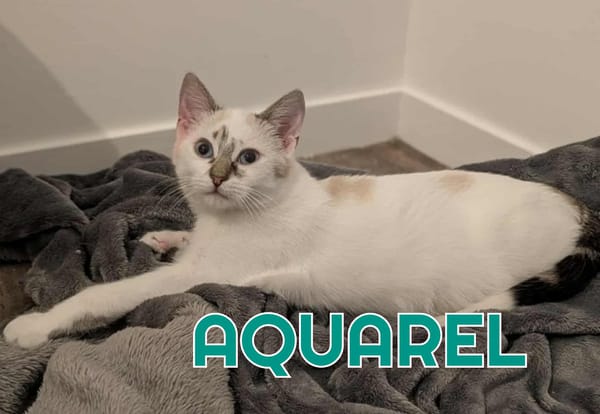 AQUAREL