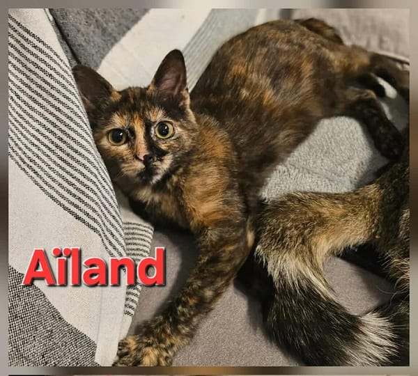 AÏLAND