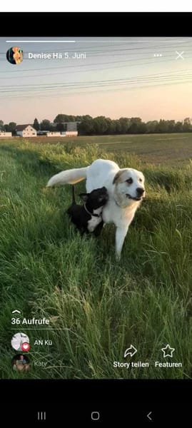 Snow auf der Suche nach seinem Glück, LU