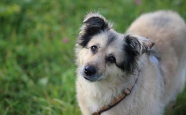 Wer verliebt sich in die hübsche Lissi?