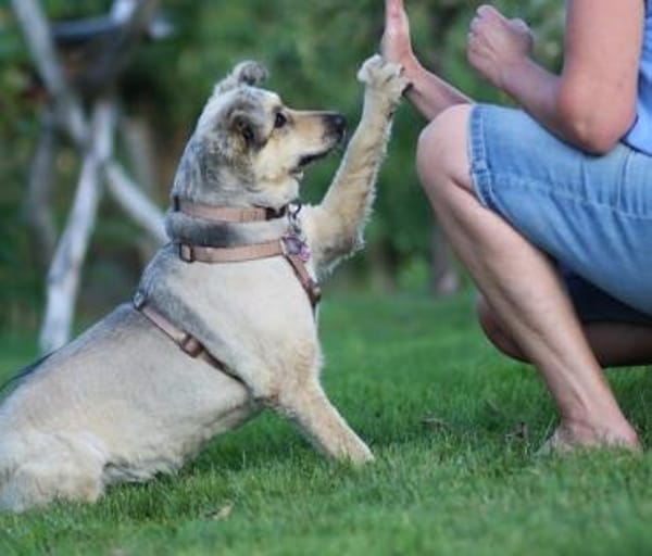 Wer verliebt sich in die hübsche Lissi?