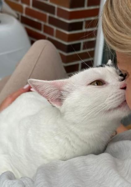 Micky und Apollon aus dem Tierschutz