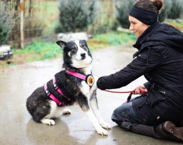 zaghafte Thali sucht geduldige Menschen