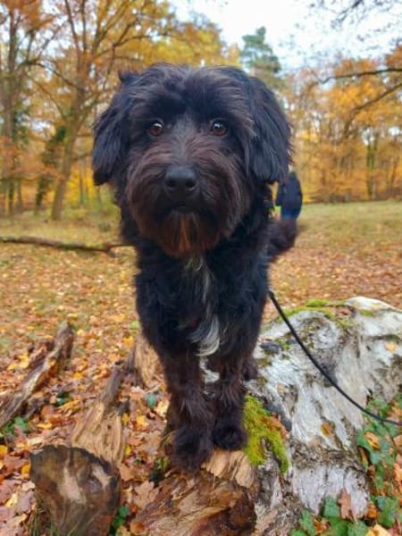 Rogella ist eine richtige Frohnatur