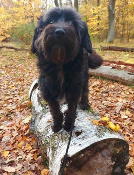 Rogella ist eine richtige Frohnatur