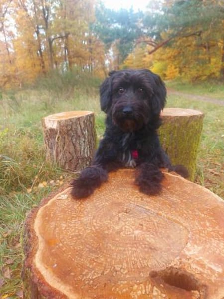 Rogella ist eine richtige Frohnatur