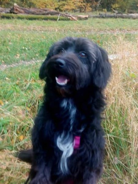 Rogella ist eine richtige Frohnatur