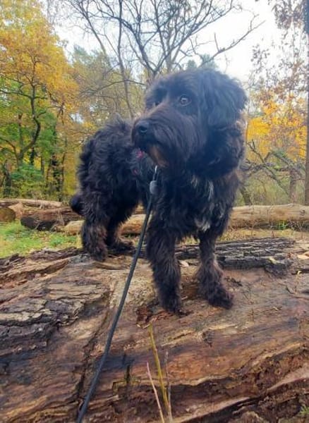 Rogella ist eine richtige Frohnatur