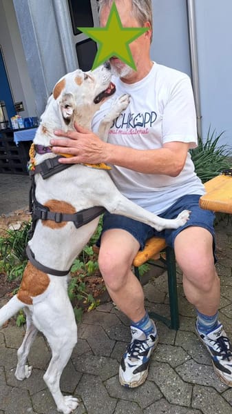 LUCERA-SPORTLICHE,LEBENSFROHE HÜNDIN