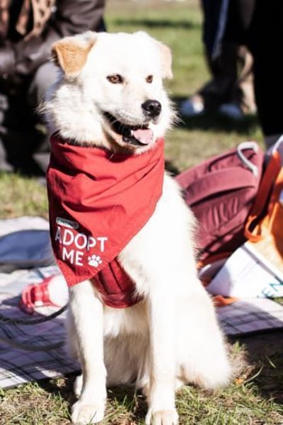 Cindy 💗 wartet in 12529 Schönefeld