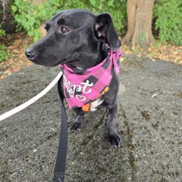 Die kleine Ivy ist eine Frohnatur !