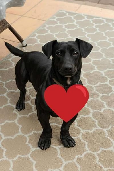 Die kleine Ivy ist eine Frohnatur !