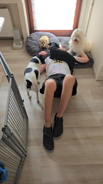 Die kleine Ivy ist eine Frohnatur !