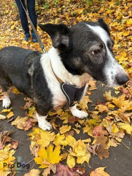 Leonie in Hückeswagen