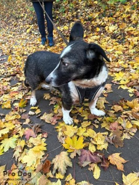 Leonie in Hückeswagen