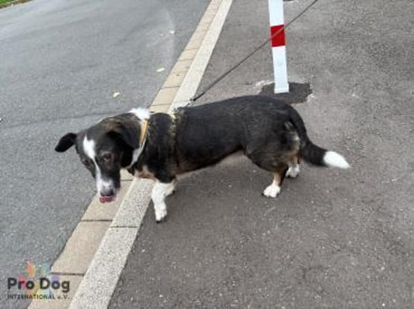 Leonie in Hückeswagen
