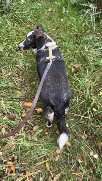 Leonie in Hückeswagen