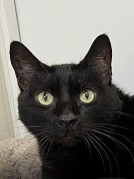 entspannte Brüder Tom und Jerry Lorch