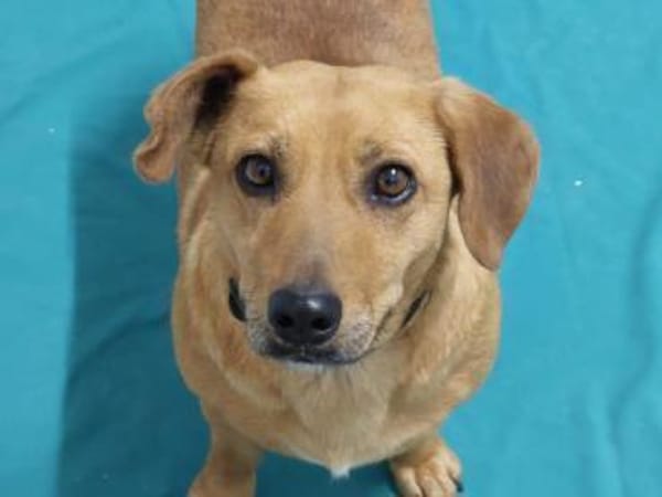 Ginger möchte die Welt entdecken