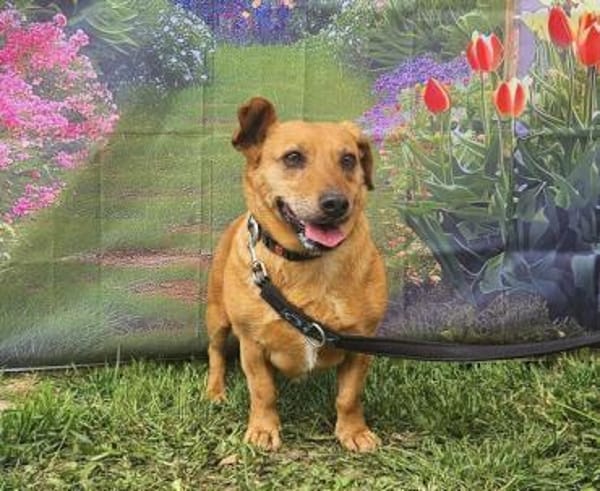 Ginger möchte die Welt entdecken