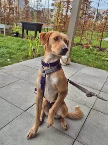 ORETTO - ein toller Kerl