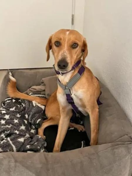 ORETTO - ein toller Kerl