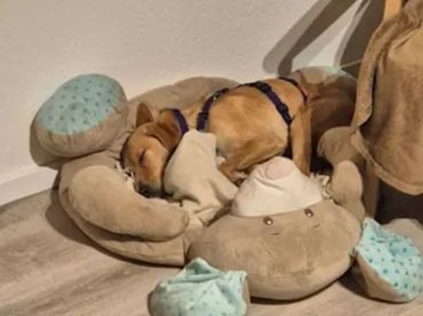 ORETTO - ein toller Kerl