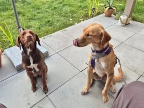 ORETTO - ein toller Kerl