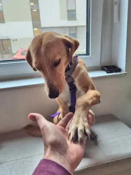 ORETTO - ein toller Kerl