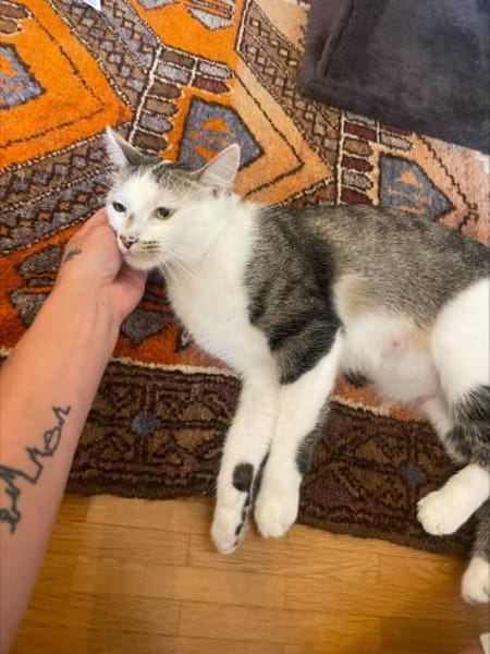 Prinzessin Mia in Wiesbaden