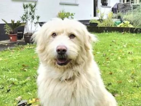 TWIST - zur Pension in Hessen