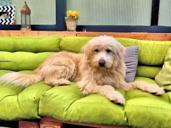 TWIST - zur Pension in Hessen