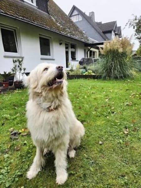 TWIST - zur Pension in Hessen