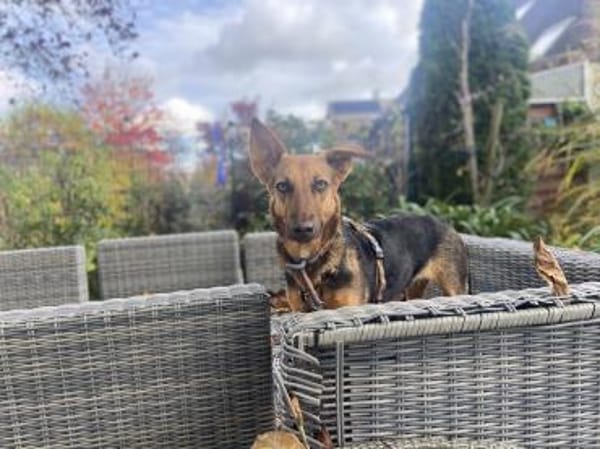 zarte Rina - kinderlieb, sanft