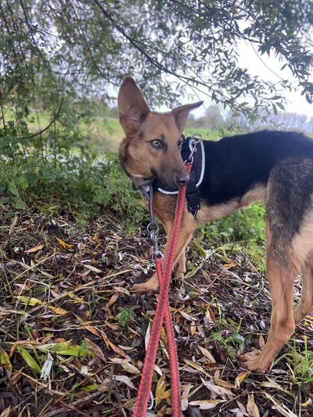 zarte Rina - kinderlieb, sanft