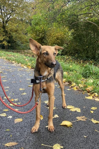 zarte Rina - kinderlieb, sanft